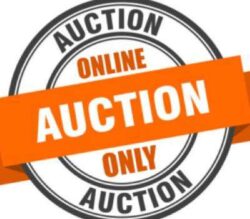 auction- 8