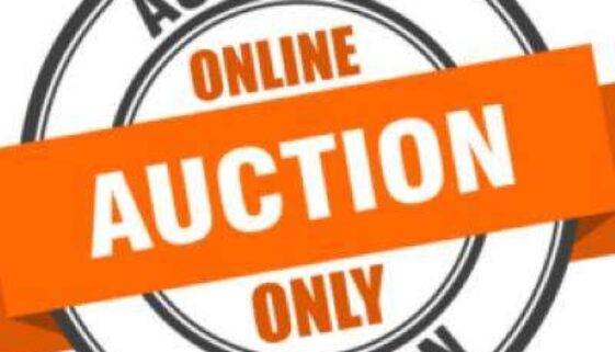 auction- 8