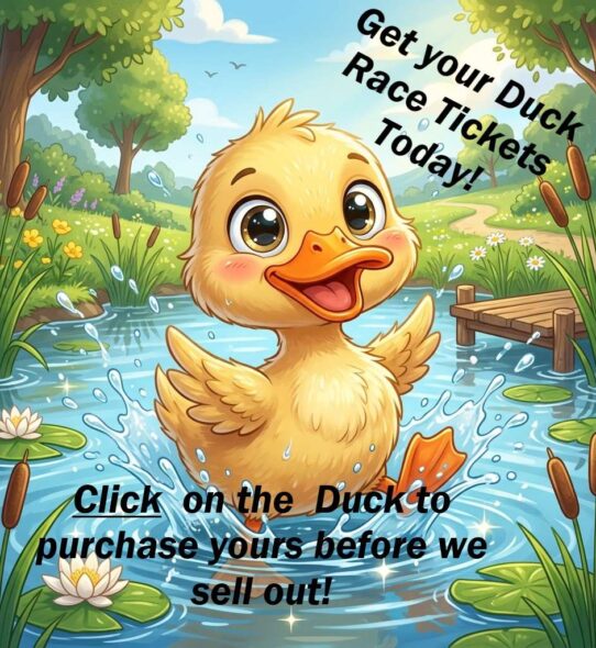 5-duck